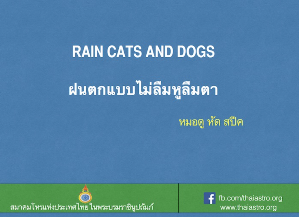 RAIN CATS AND DOGS
